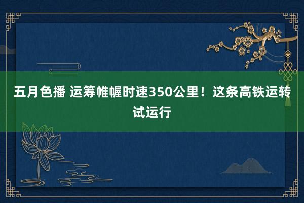 五月色播 运筹帷幄时速350公里！这条高铁运转试运行