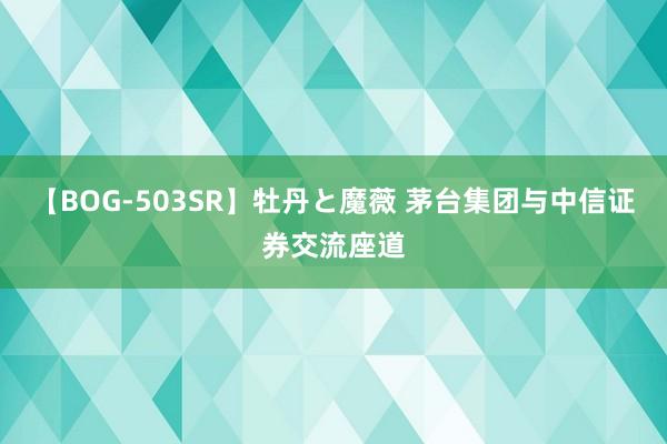 【BOG-503SR】牡丹と魔薇 茅台集团与中信证券交流座道