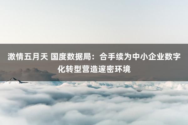 激情五月天 国度数据局：合手续为中小企业数字化转型营造邃密环境