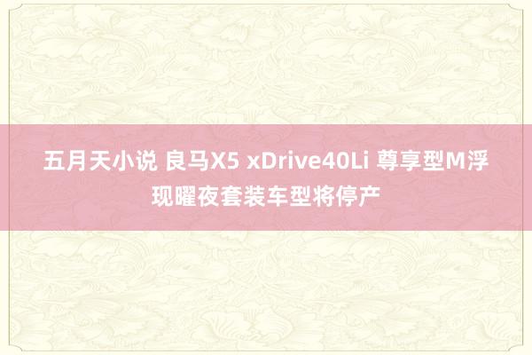 五月天小说 良马X5 xDrive40Li 尊享型M浮现曜夜套装车型将停产