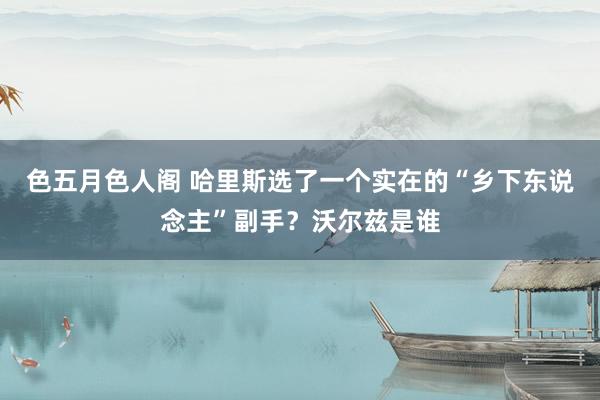 色五月色人阁 哈里斯选了一个实在的“乡下东说念主”副手？沃尔兹是谁