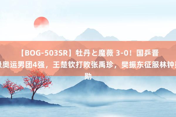 【BOG-503SR】牡丹と魔薇 3-0！国乒晋级奥运男团4强，王楚钦打败张禹珍，樊振东征服林钟勋