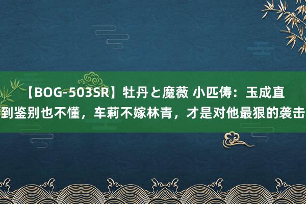 【BOG-503SR】牡丹と魔薇 小匹俦：玉成直到鉴别也不懂，车莉不嫁林青，才是对他最狠的袭击