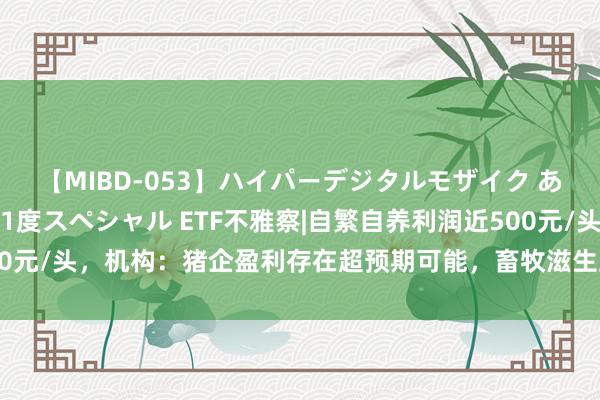 【MIBD-053】ハイパーデジタルモザイク あの娘のセックスをもう1度スペシャル ETF不雅察|自繁自养利润近500元/头，机构：猪企盈利存在超预期可能，畜牧滋生主题ETF获资金怜惜