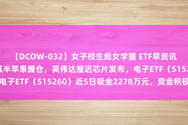 【DCOW-032】女子校生痴女学園 ETF早资讯｜大事件解读！巴菲特减半苹果握仓，英伟达推迟芯片发布，电子ETF（515260）近5日吸金2278万元，资金积极抢筹