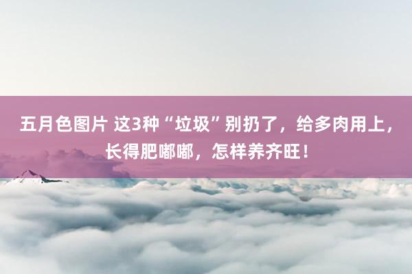 五月色图片 这3种“垃圾”别扔了，给多肉用上，长得肥嘟嘟，怎样养齐旺！