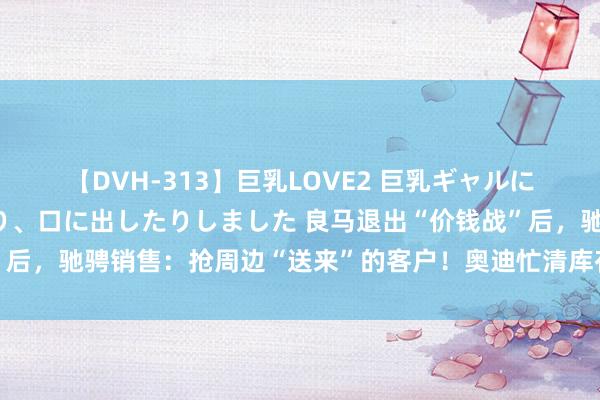 【DVH-313】巨乳LOVE2 巨乳ギャルにザーメンを中出ししたり、口に出したりしました 良马退出“价钱战”后，驰骋销售：抢周边“送来”的客户！奥迪忙清库存…抢完客户也涨？