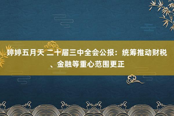 婷婷五月天 二十届三中全会公报：统筹推动财税、金融等重心范围更正