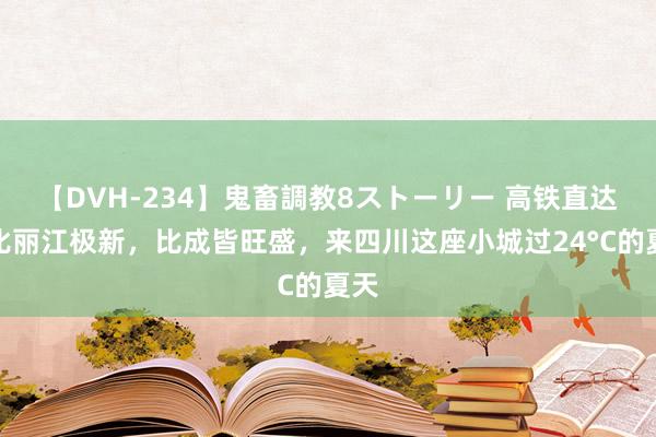 【DVH-234】鬼畜調教8ストーリー 高铁直达！比丽江极新，比成皆旺盛，来四川这座小城过24°C的夏天