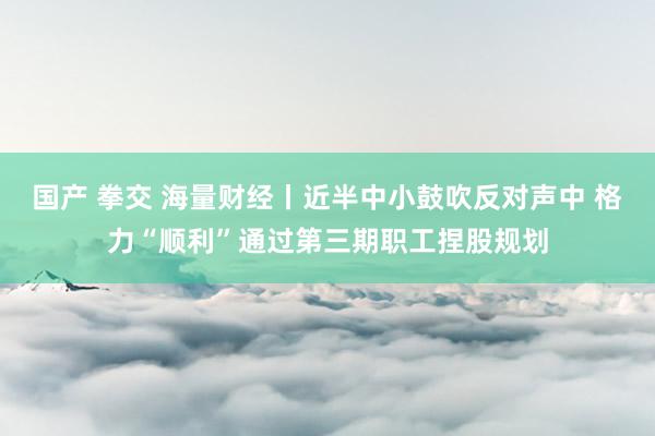 国产 拳交 海量财经丨近半中小鼓吹反对声中 格力“顺利”通过第三期职工捏股规划