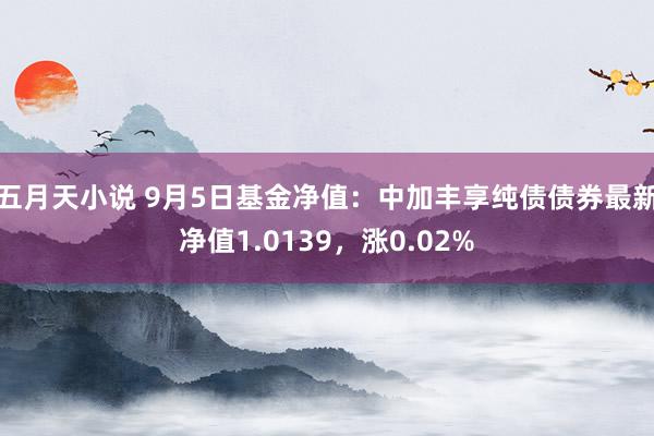 五月天小说 9月5日基金净值：中加丰享纯债债券最新净值1.0139，涨0.02%