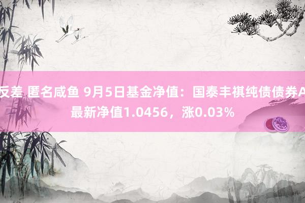 反差 匿名咸鱼 9月5日基金净值：国泰丰祺纯债债券A最新净值1.0456，涨0.03%