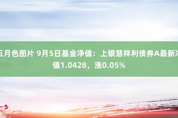 五月色图片 9月5日基金净值：上银慧祥利债券A最新净值1.0428，涨0.05%