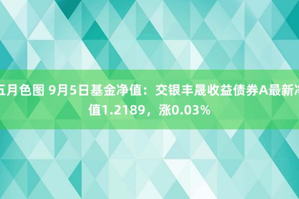 五月色图 9月5日基金净值：交银丰晟收益债券A最新净值1.2189，涨0.03%