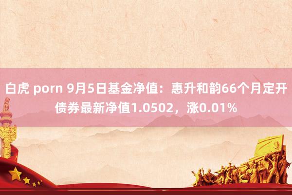 白虎 porn 9月5日基金净值：惠升和韵66个月定开债券最新净值1.0502，涨0.01%