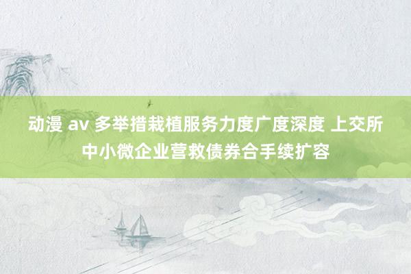 动漫 av 多举措栽植服务力度广度深度 上交所中小微企业营救债券合手续扩容