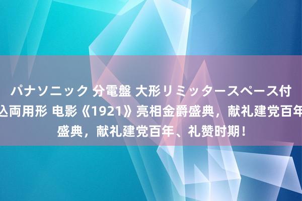 パナソニック 分電盤 大形リミッタースペース付 露出・半埋込両用形 电影《1921》亮相金爵盛典，献礼建党百年、礼赞时期！