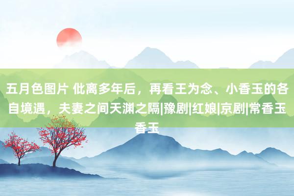 五月色图片 仳离多年后，再看王为念、小香玉的各自境遇，夫妻之间天渊之隔|豫剧|红娘|京剧|常香玉