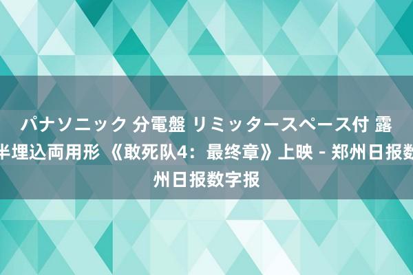 パナソニック 分電盤 リミッタースペース付 露出・半埋込両用形 《敢死队4：最终章》上映－郑州日报数字报